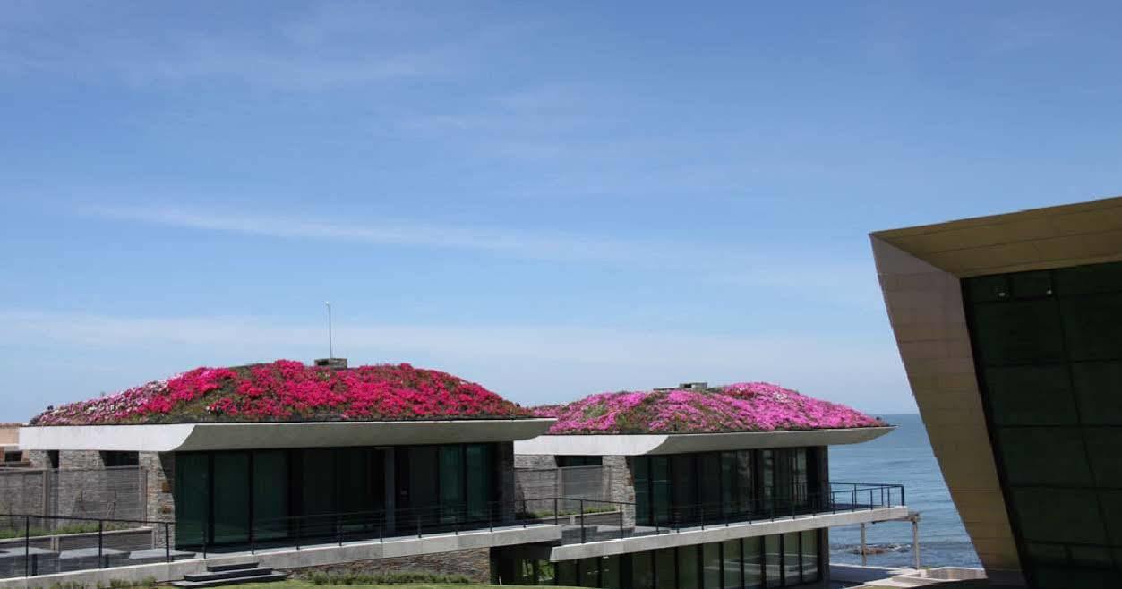 Playa Vik Jose Ignacio Villa Buitenkant foto